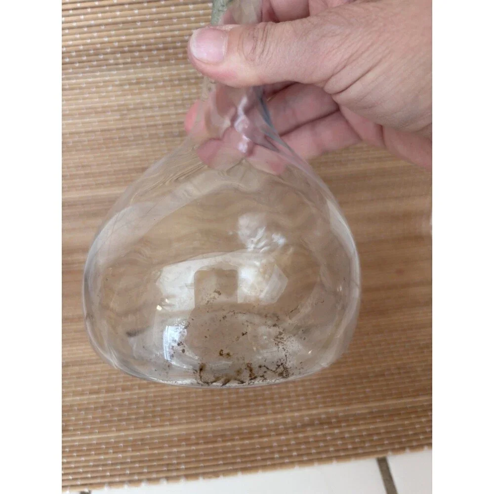 Clear Blue Rim Glass Decanter w/ Handle, 0.5 qt, 9 in Tall, 1pc